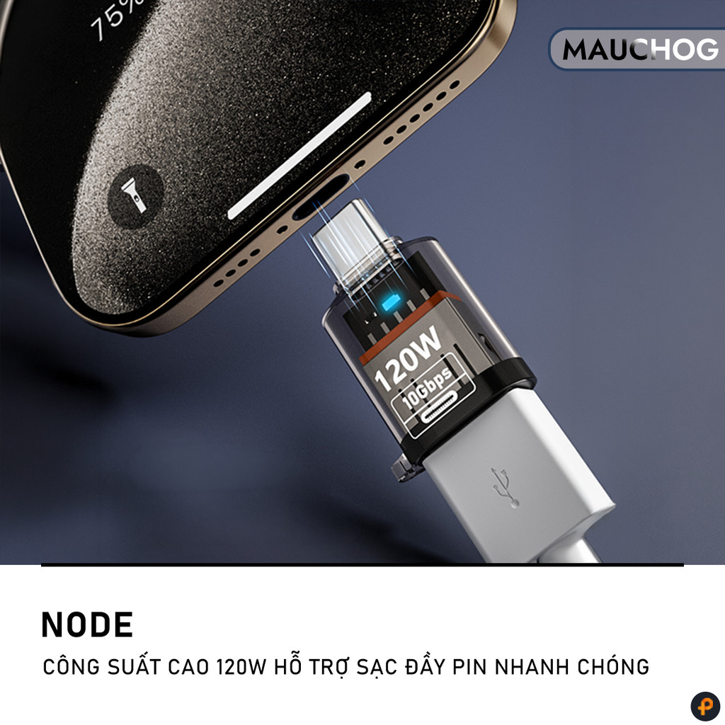 Đầu Chuyển Đổi Cổng USB 3.2 Sang Type C 10Gbps Hỗ Trợ OTG Cho Điện Thoại iPhone iPad Macbook
