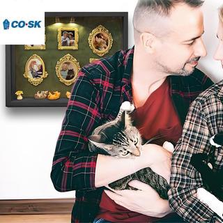 COUTR DIY Cat Mini Museum Silhouette Box, Familyand Cat Memory Photo Display Case Frame Silhouette Box có đèn VN