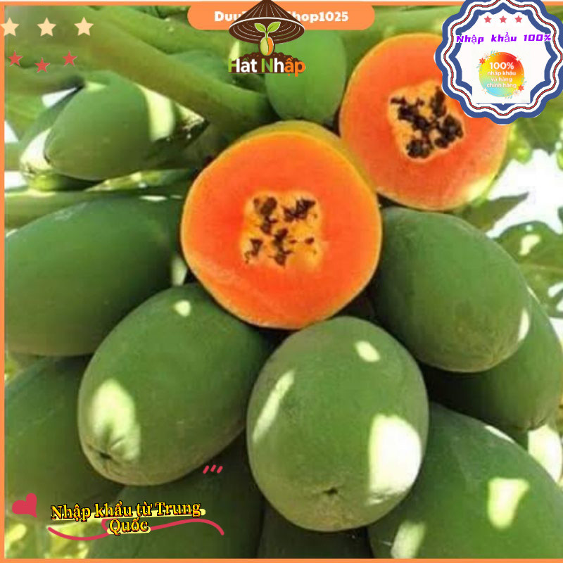 Imported red-fleshed papaya from China,Hạt Giống Đu Đủ Ruột Đỏ Sinh Trưởng KhoẻOriginal packaging 50 caps-k019