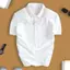 2026 ÁO POLO PHỐI BO VIỀN 02 VẢI THUN CÁ SẤU POLY
