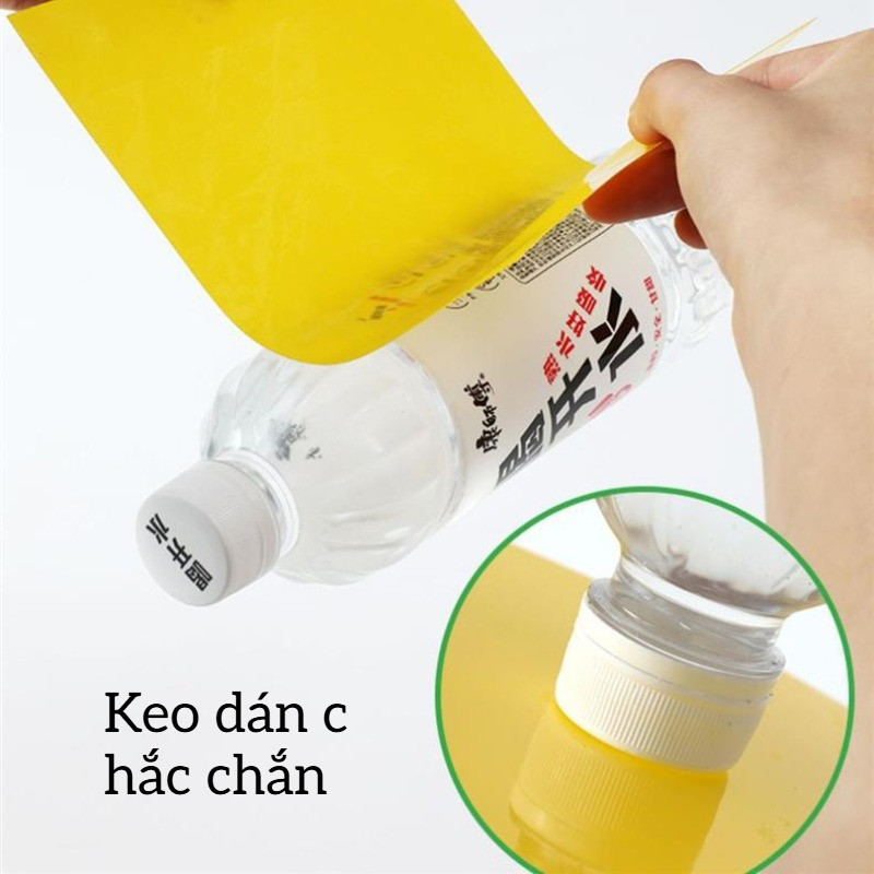Bẫy Dính Ruồi Vàng 2 Mặt 10x20cm - Hiệu Quả Cao Trong Việc Dụ Và Diệt Ruồi Vàng, Côn Trùng Gây Hại Cho Vườn Cây