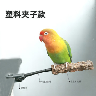 Cá rô vẹt huấn luyện bô - Giá đỡ gỗ tiêu kẹp cho Budgie Cockatiel & Lovebird