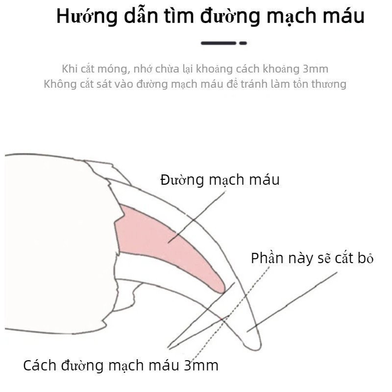 Kìm cắt móng thú cưng đèn LED soi mạch máu khóa an toàn cắt mài 2 trong 1 phù hợp chó mèo mọi giống