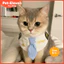 Yếm mèo thuyền trưởng đẹp trai Pet Phi công Khăn quàng cổ cho chó Yếm mèo Yếm thí điểm Khăn nước bọt cho chó Dễ thương Cà vạt đẹp trai Cross-Dressing Trang trí ảnh Bichon
