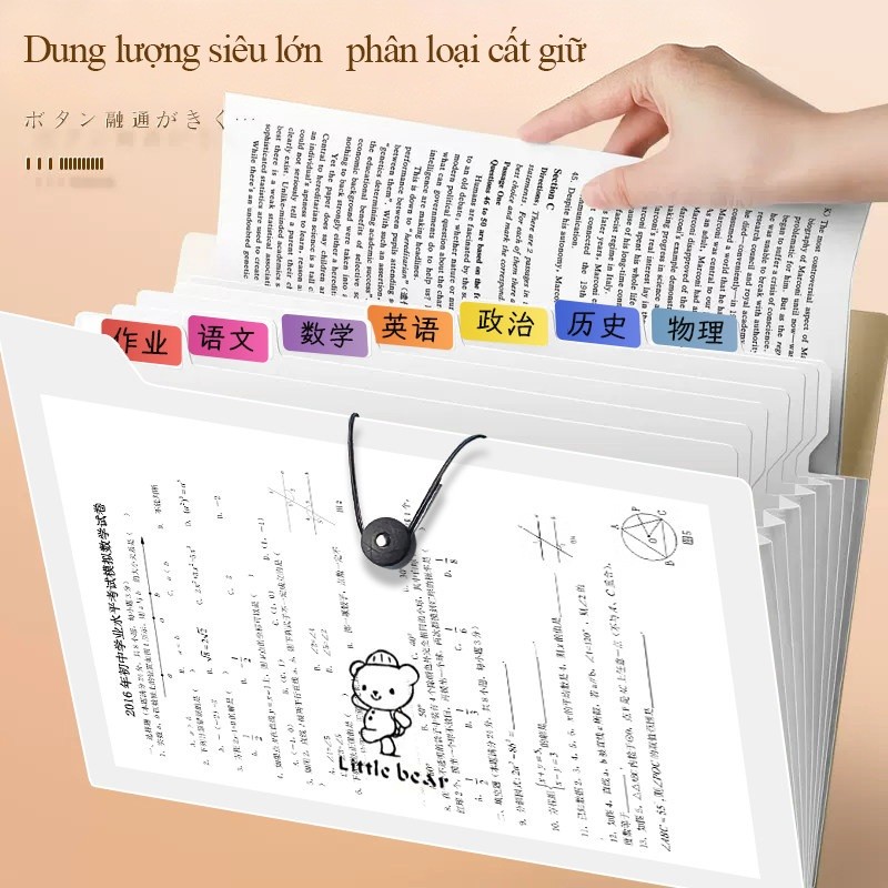 Túi đựng tài liệu a4 dễ thương với sticker capybara độc đáo, kết hợp nhiều ngăn tiện ích từ PP 8/12 bền bỉ