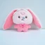 PS1 NCT DREAM MARK RENJUN Dreamiez BABY Bong Bóng Mũi Series Sang Trọng Túi Búp Bê Quyến Rũ Móc Khóa SP1