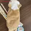 Hộp đựng bút chì sang trọng hình chú mèo nhỏ dễ thương ZK - Túi đựng bút hình động vật hoạt hình Đồ dùng học tập VN