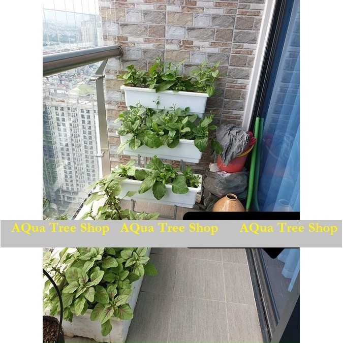 Combo Kệ trồng rau 3 tầng bậc thang + chậu, bộ chậu kệ trồng rau ban công