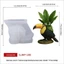 SA Handmade Khuôn Silicon Để Thủ Công Trang Trí Mỏ Nhiệt Đới Trồng Và Quà Tặng