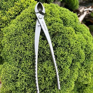 CẠP XÉO HD BONSAI - Bản cao cấp -  Thép Trắng Không Gỉ - Sử dụng tạo tác cây bonsai; cây cảnh