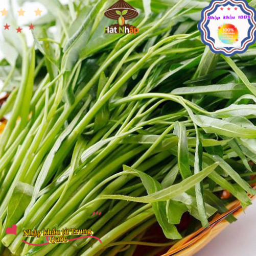 nhập khẩu-Hạt giống Rau muống lá tre hàng công ty,Khoảng 200 viên trong bao bì gốc, k030