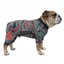 GILL Pet Tattoo Jacket, Áo Vest xăm hình mèo bốn mùa thoáng khí, sáng tạo mát mẻ vừa vặn Quần áo thú cưng vui nhộn cho thú cưng S đến 6XL