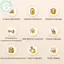 PUSKY Điện Kinh Tuyến Bàn Chải Chống Cellulite Gua Sha Máy Mát Xa Toàn Thân Vibrate Microcurrent Hotpress Cạo Lymphatic Thoát Nước Chăm Sóc VN