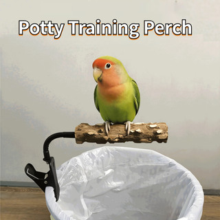 Cá rô vẹt huấn luyện bô - Giá đỡ gỗ tiêu kẹp cho Budgie Cockatiel & Lovebird