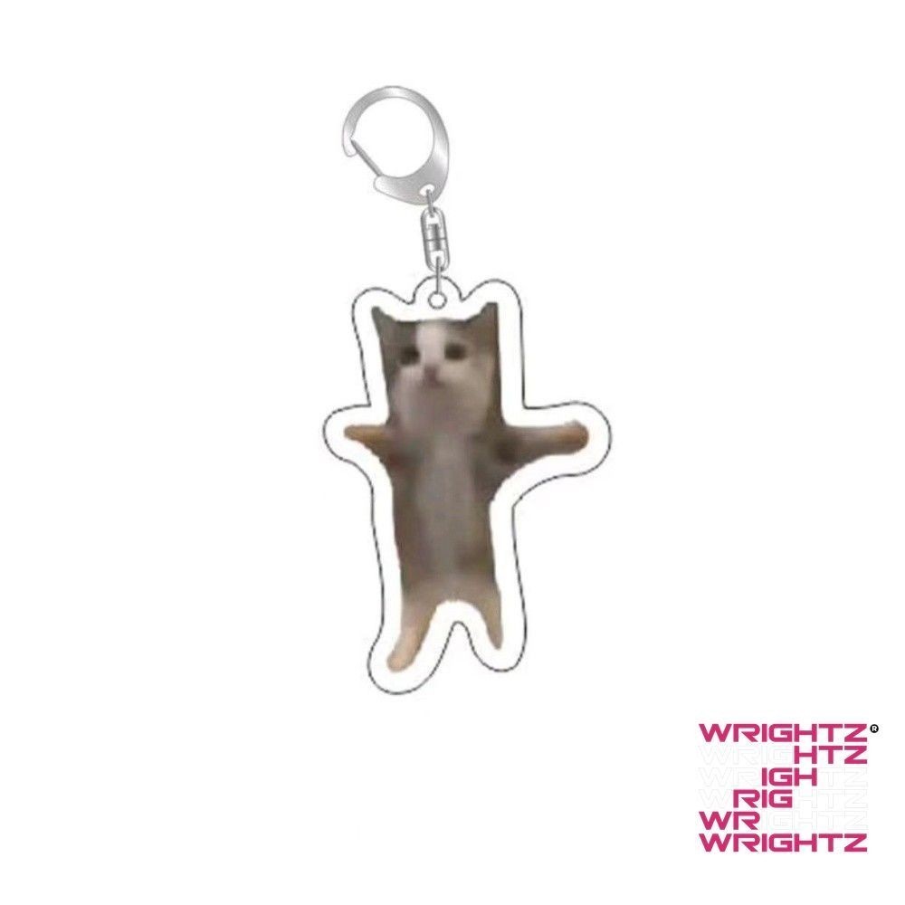 Rambling dê huh mèo Meme Keychain nhầm lẫn mèo memes mèo la hét với bàn chân trên đầu của nó món quà dễ WrightZ