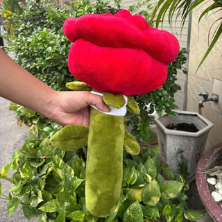 Gấu Bông Hoa Hồng 30–80cm-Thú Nhồi Bông Hoa Hồng Lãng Mạn Quà Tặng 8/3 - 20/10 Sinh Nhật Cho Bạn Gái