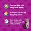 Hạt Whiskas 8 vị lựa chọn. Thức ăn "Hạt có nhân" cho Mèo Con và Mèo Trưởng Thành