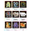 TAKARA TOMY Pokémon Moncolle Series (MS-01 ～ MS-60) Figures Collection Pocket Monsters