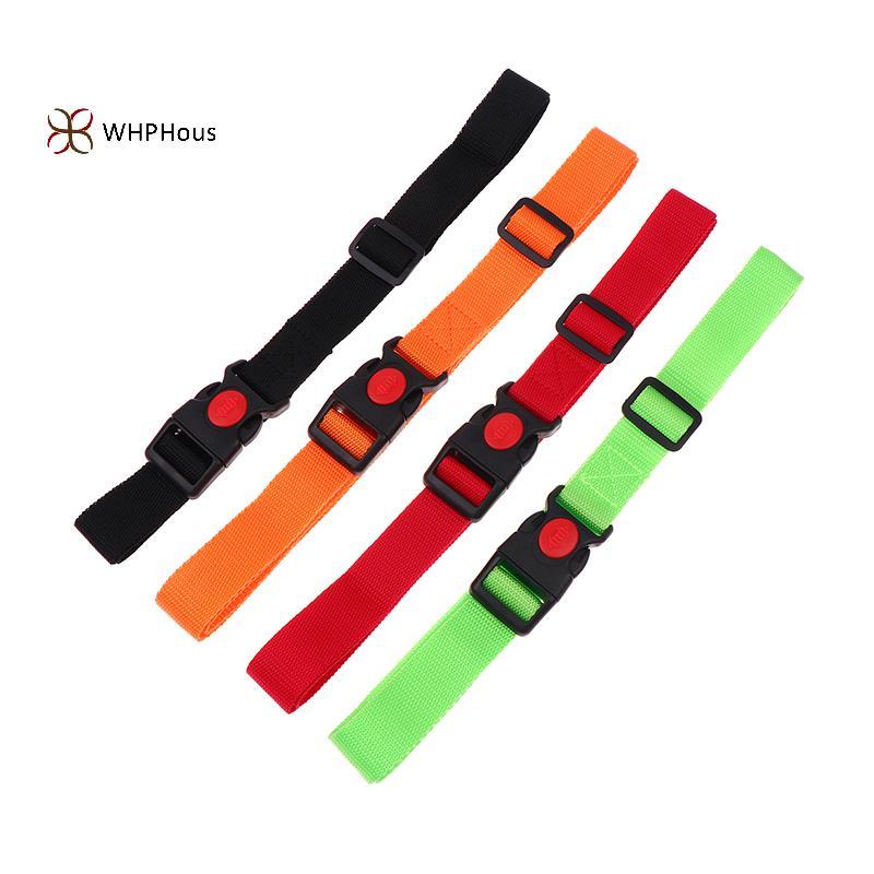 Đai tập bơi tĩnh điện - dây phao webbing đẹp, tiện lợi