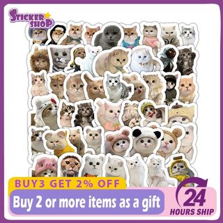 100 Chiếc Mèo Vui Nhộn MEME Hoạt Hình Dễ Thương Dán Đồ Chơi Văn Phòng Phẩm Đàn Guitar Xe Đạp Laptop DIY Dán