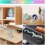 3D In Hình Bất Ngờ Trứng Rồng Khớp Nối Hình Rồng Linh Hoạt Khớp Mẫu Nhà Để Bàn Trang Trí Trẻ Em Quà Tặng Đồ Chơi