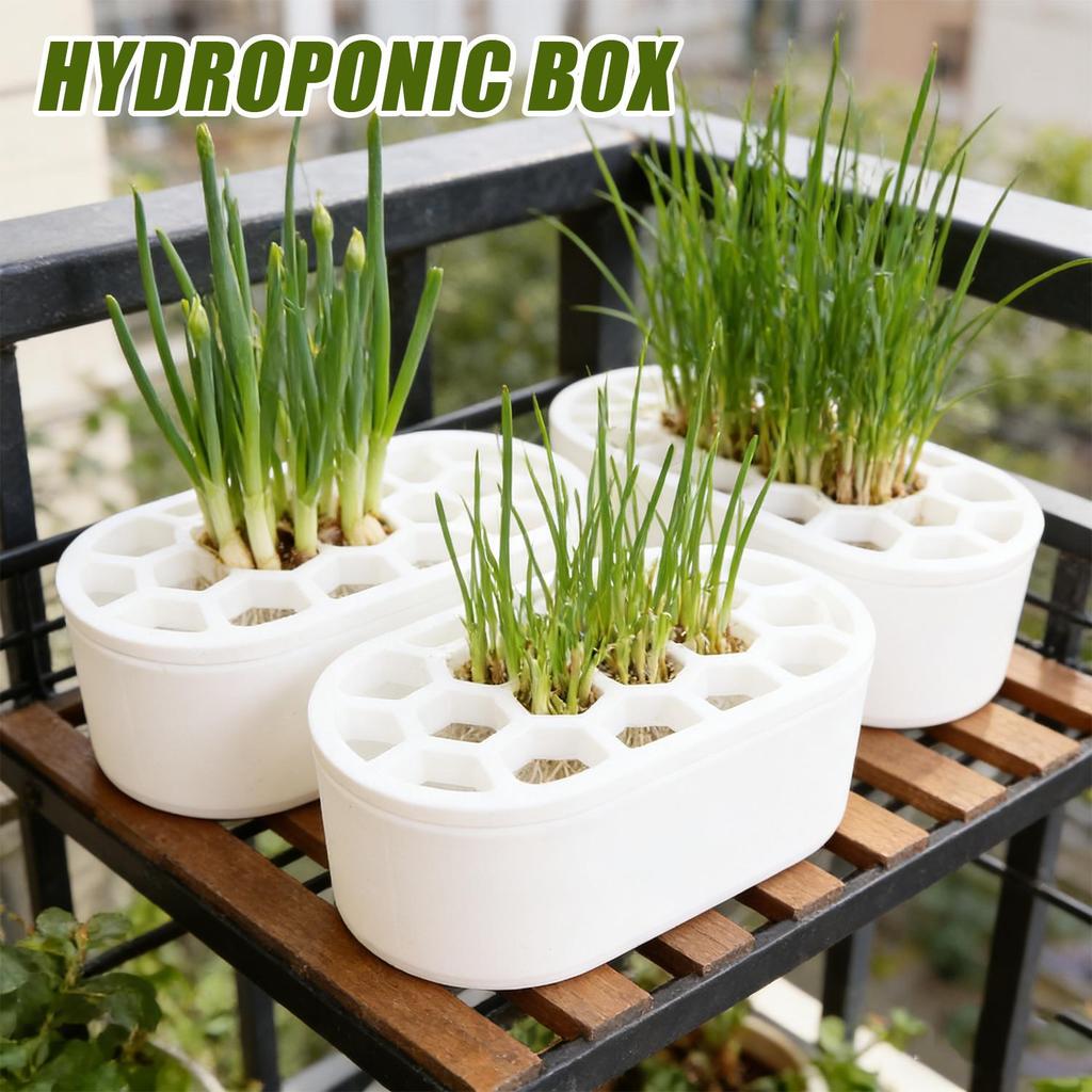 Chậu trồng cây nhà bếp cầm tay Tái tạo trồng cây-Tốt tỏi thủy canh không đất Rau củ