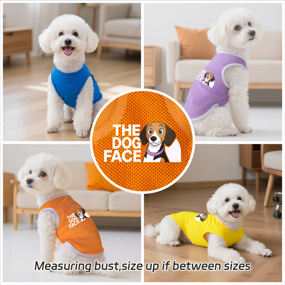 Áo vest cho thú cưng có kích cỡ S-2XL, in begle, có nhiều màu sắc và thoáng khí cho mùa hè, thích hợp cho cả sử dụng trong nhà và ngoài trời, và phù hợp với tất cả chó và mèo nhỏ.