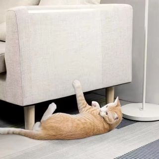 Miếng Dán Chống Thấm Nước METUBE, Phim Bảo Vệ Tường Chống Dầu Hấp Phụ Tĩnh Điện, Trang Trí Nhà Cửa Trong Suốt Chịu Nhiệt Dán Tường Nhà Bếp