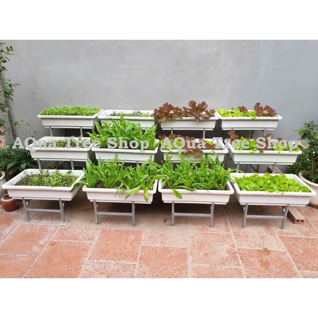 KỆ TRỒNG RAU BẬC THANG 3 TẦNG DÙNG CHO CHẬU CỠ ĐẠI 68X43CM (CHƯA BAO GỒM CHẬU)