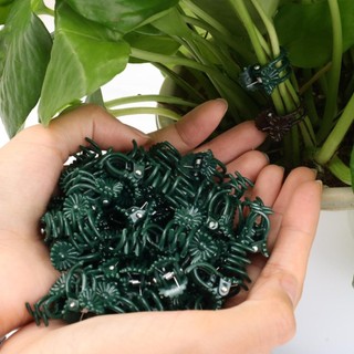 [GIAO HÀNG 3-5 NGÀY] Kẹp cành cây cho cây phong lan và cây leo, Kẹp hỗ trợ bằng nhựa bền, Cố định dễ dàng để huấn luyện cây nho, 50 / 100 / 200 Cái Tùy chọn cho vườn nhà