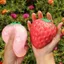 Đồ chơi bóp PYCOU, hình trái cây ngộ nghĩnh​​ Đồ chơi Squishy chống căng thẳng mềm mại và bền bỉ​​, Giải phóng cảm xúc ​​Không độc hại & an toàn​​ Co giãn ​​ Đồ chơi Fidget tăng chậm​​ Dành Cho Người Lớn & Trẻ Em​​