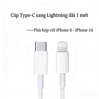 Hỗ trợ bán sỉ Cáp sạc nhanh type c - type c & Củ sạc 20w 30w