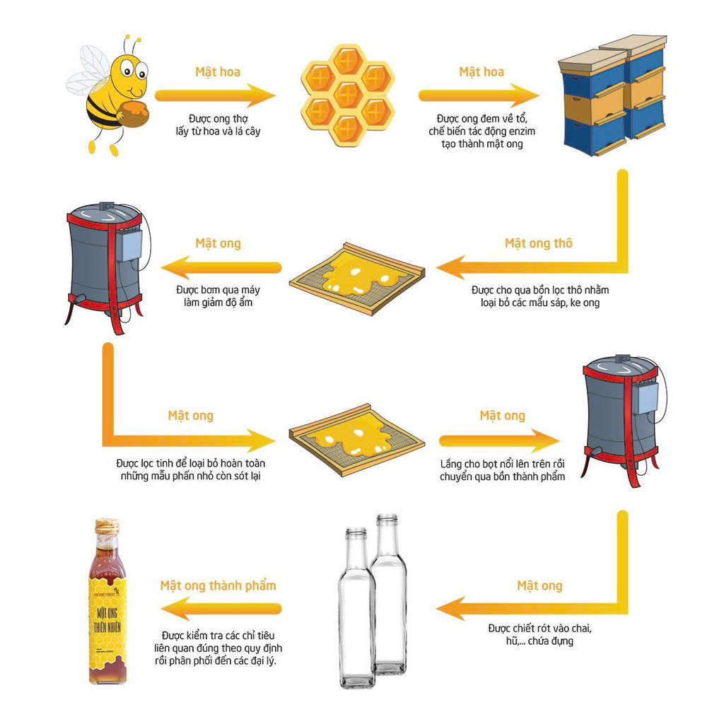 Mật Ong Thiên Nhiên Nguyên Chất 100% Honeyboy Đủ Size Từ Mật Ong Tự Nhiên, Chai Thủy Tinh Tiện Lợi