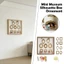 MONOSTYLE DIY Mini Museum Silhouette Box, Bộ trưng bày bộ nhớ dây đèn LED mini, Khung vàng sáng tạo Bảo quản bộ nhớ Khung ảnh cho quà tặng kỷ niệm