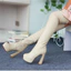 VNASCP34-43 Giày Bốt Mỏng Co Giãn Kích Thước Lớn Ống Cao Cấp Dây Kéo Over-the-Knee Đế Dày Dày Cao Gót Chống Thấm Nước Nền Tảng Cực Khiêu Vũ Đêm Câu Lạc Bộ Giả-Mo