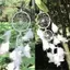 TRTR Trắng Dream Catcher Tròn Lông Vũ Treo Tường Trang Trí Trang Trí Thủ Công VN