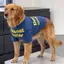 【Ready Stock】 Summer Thin Large Dog Clothes Anti-Lint Golden Retriever Alaska Breathable Sun Protection Big Dog Cool Clothes Solid Color zLJt