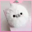 MYPANDA Dễ Thương Mùa Đông Seal Earmuff Scarf Trẻ Em Học Sinh Khăn Lông Chéo Bộ Găng Tay Ne-Protect Kawaii Girls Khăn Sang Trọng Ấm Áp Ngoài Trời.