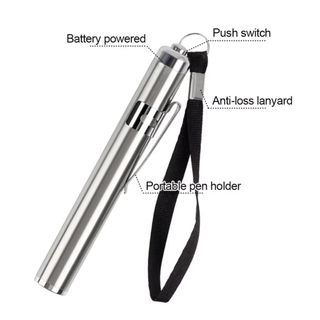 Đèn kiểm tra trứng LED BORAGETE có đèn pin, máy soi trứng lạnh, vỏ inox bền cho gà, vịt, trứng cút, trứng chim cảnh