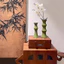 Bình Hoa Gốm Sứ Phong Cách Mid-century (Dáng Đốt Tre) - Lọ Hoa Decor Sang Trọng Màu Xanh Ngọc - Bình Gốm Trang Trí Nội Thất Cao Cấp Đủ Kích Thước