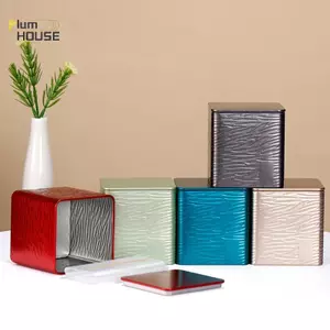 PlumHOUSE Di Động Màu Trơn Mini Hộp Thiếc Trà Kín Bình Ngủ Hộp Trang Sức Kẹo Bảo Quản Nhỏ Có Thể Có Túi Nhựa Và Dây Buộc Cáp Hộp Quà Tặng VN