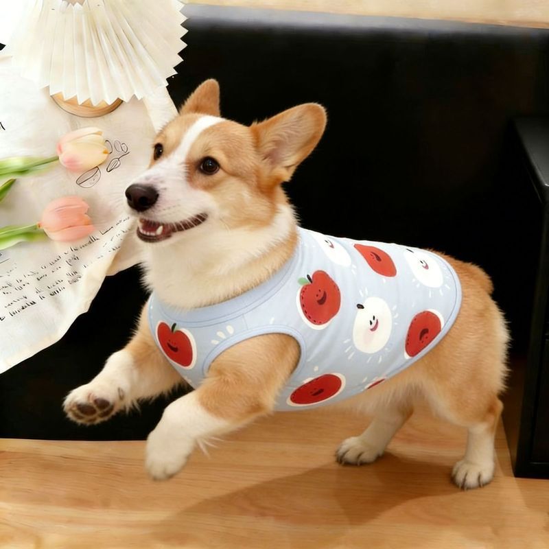 Quần áo cho chó cưng Màu đỏ táo trắng táo xanh nhạt Áo Vest Corgi Chó cỡ vừa tươi thoải mái