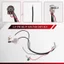 Dây nịt dây đàn Guitar Prewired Hai Pickup 500K Nồi chuyển đổi 3 chiều Bạc