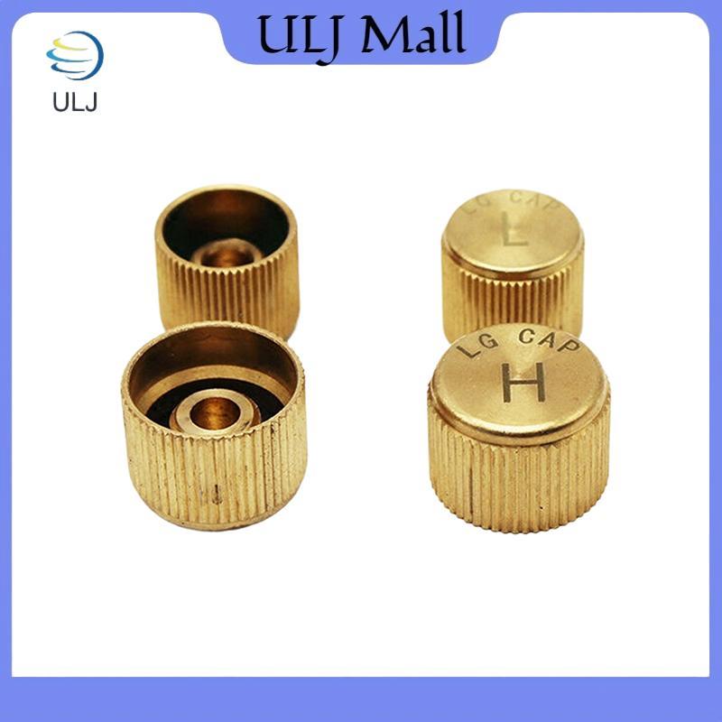 Điều hòa ô tô ULJ Vỏ bụi làm lạnh Nắp lõi van Nắp cổng bên thấp cao Tự động Mũ áp suất thấp Phụ kiện.