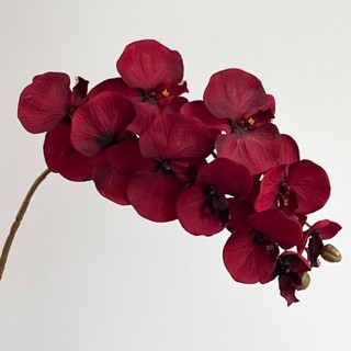 THEHOMECO Nhân Tạo Bướm Phong Lan, 10 Đầu Đa Màu Phalaenopsis Giả, Dây Sắt Sống Động Như Thật Lớp Lót Bên Trong Cảm Ứng Thật 98cm Hoa Lụa Trang Trí Đám Cưới