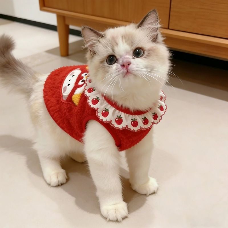 Năm Mới Quần Áo Lễ Hội Mùa Xuân Lễ Hội Lễ Hội Mèo Quần Áo Ren Đỏ Vest Muppet Mèo Vàng Gradient Mèo Con Lông Cừu Vest