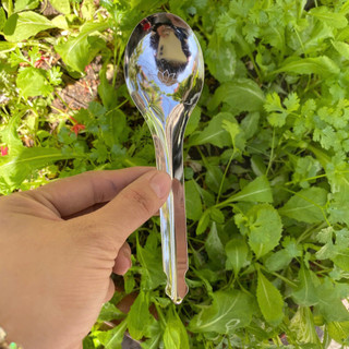 SET 20/50 Thìa inox, muỗng canh tròn inox ăn cơm cán ngắn