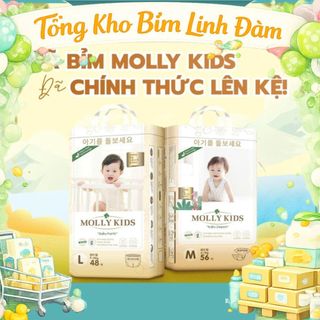 COMBO 3B MOLLY KIDS TẶNG 1B MOLLY KIDS Công Nghệ Hàn Quốc Dán/Quần Đủ Size S62>>4XL38- Thảo Nhi Kid
