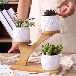 Cây mọng nước tre Giá đỡ vật liệu tự nhiên Kệ hoa nhỏ nhiều lớp cho máy tính để bàn văn phòng tại nhà