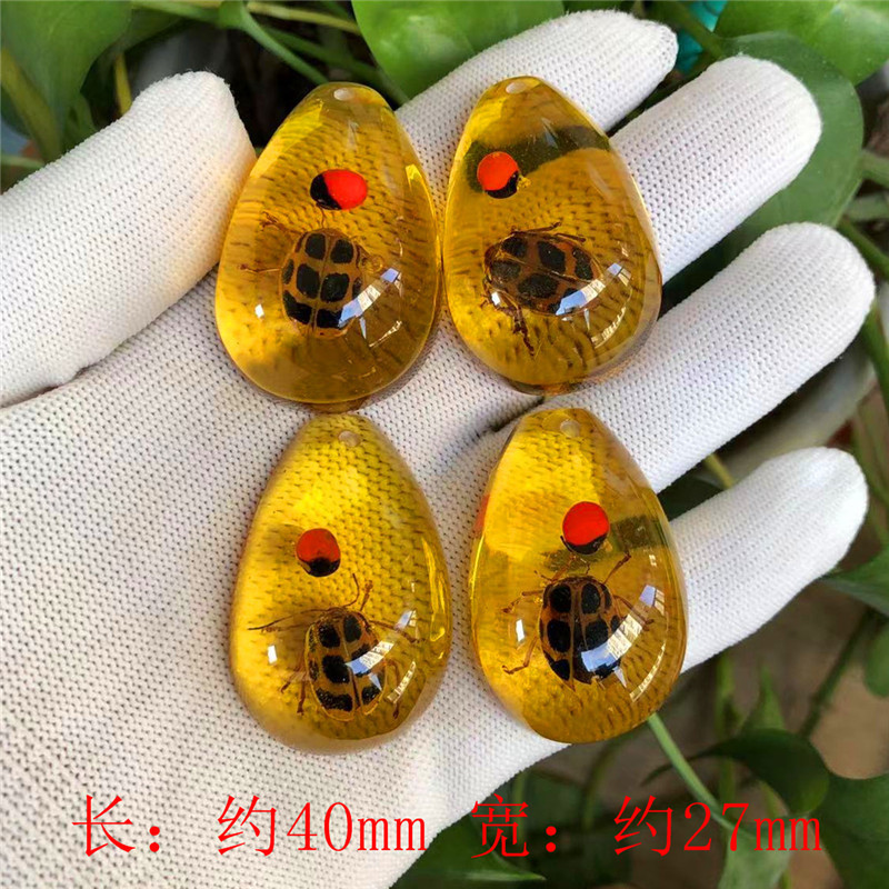 Dạ Quang Hổ Phách Thật Côn Trùng Mẫu Trẻ Em Khai quật Khảo Cổ Học Bí Ẩn Hộp Mặt Dây Chuyền Phụ Kiện Nhựa Côn Trùng Hổ Phách Sinh Viên Khoa Học Phổ Biến Giảng Dạy Mặt Dây Chuyền Quà Tặng